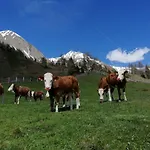 Wachtlerhof * Matrei in Osttirol