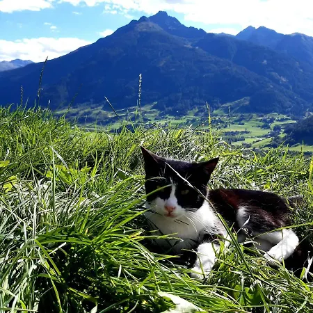 Wachtlerhof דירה