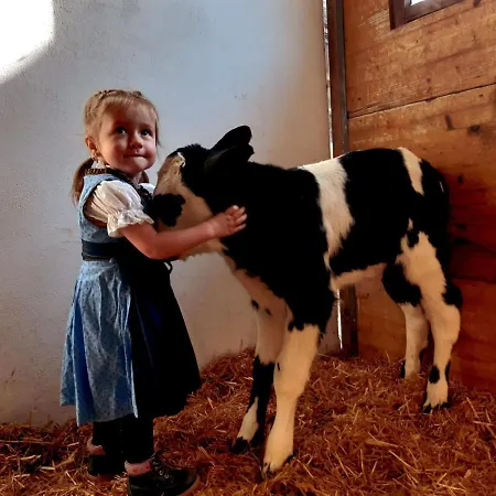 Wachtlerhof מטרי אין אוסטירול