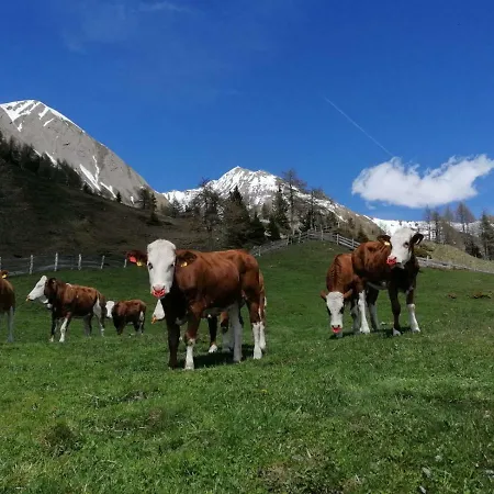 Wachtlerhof * מטרי אין אוסטירול