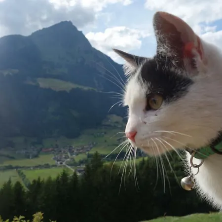 דירה Wachtlerhof מטרי אין אוסטירול